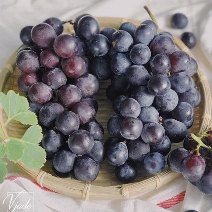 無籽紫色葡萄